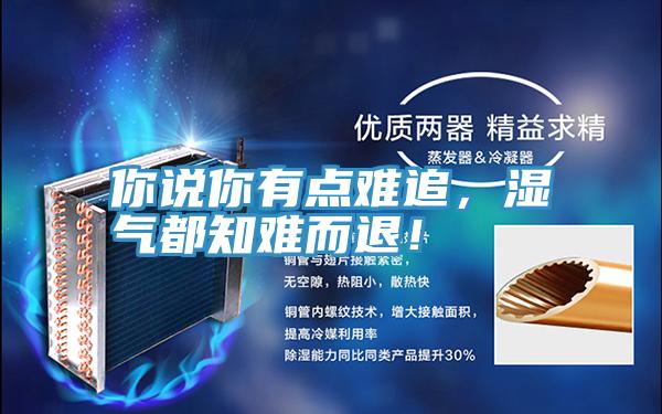 你說你有點(diǎn)難追，濕氣都知難而退！