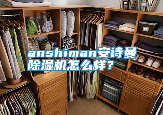 anshiman安詩曼除濕機怎么樣？