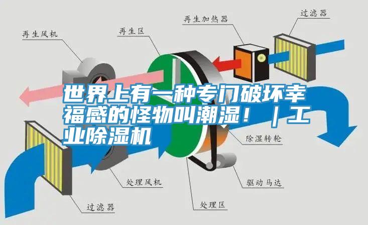 世界上有一種專門破壞幸福感的怪物叫潮濕?。I除濕機