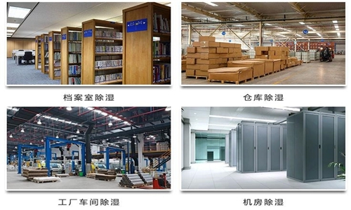 為什么竹筍烘干房需要除濕機(jī)？