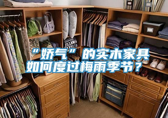 “嬌氣”的實木家具如何度過梅雨季節？