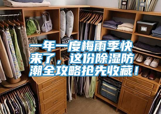 一年一度梅雨季快來了，這份除濕防潮全攻略搶先收藏！