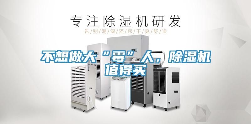 不想做大“霉”人，除濕機值得買
