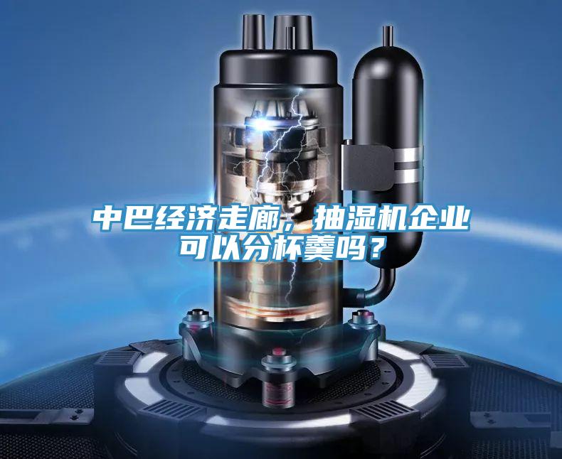 中巴經(jīng)濟(jì)走廊，抽濕機(jī)企業(yè)可以分杯羹嗎？