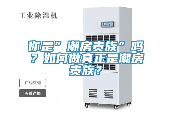 你是”潮房貴族”嗎？如何做真正是潮房貴族？