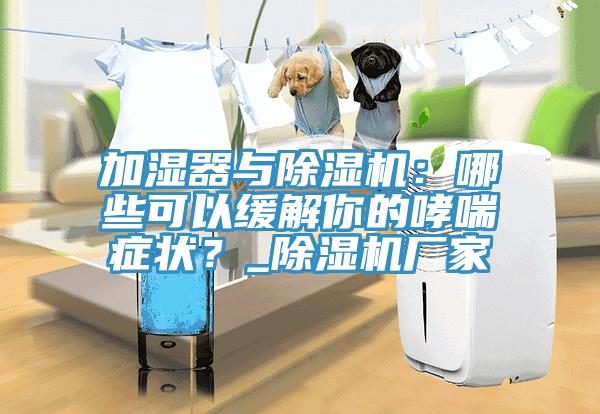 加濕器與除濕機：哪些可以緩解你的哮喘癥狀？_除濕機廠家