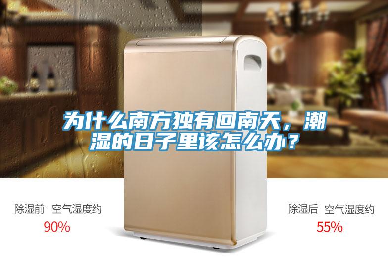 為什么南方獨(dú)有回南天，潮濕的日子里該怎么辦？