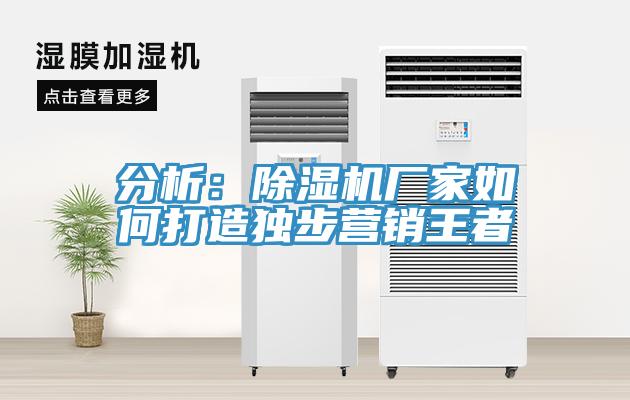 分析：除濕機(jī)廠家如何打造獨(dú)步營(yíng)銷(xiāo)王者