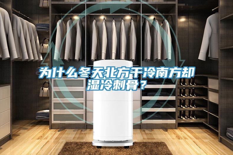 為什么冬天北方干冷南方卻濕冷刺骨?