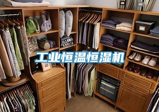 工業(yè)恒溫恒濕機
