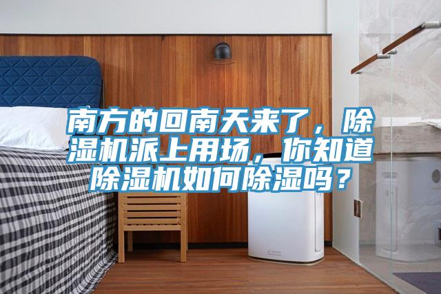 南方的回南天來了，除濕機派上用場，你知道除濕機如何除濕嗎？