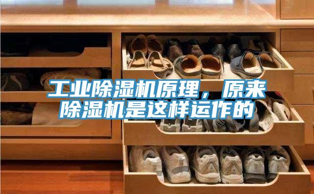 工業除濕機原理，原來除濕機是這樣運作的