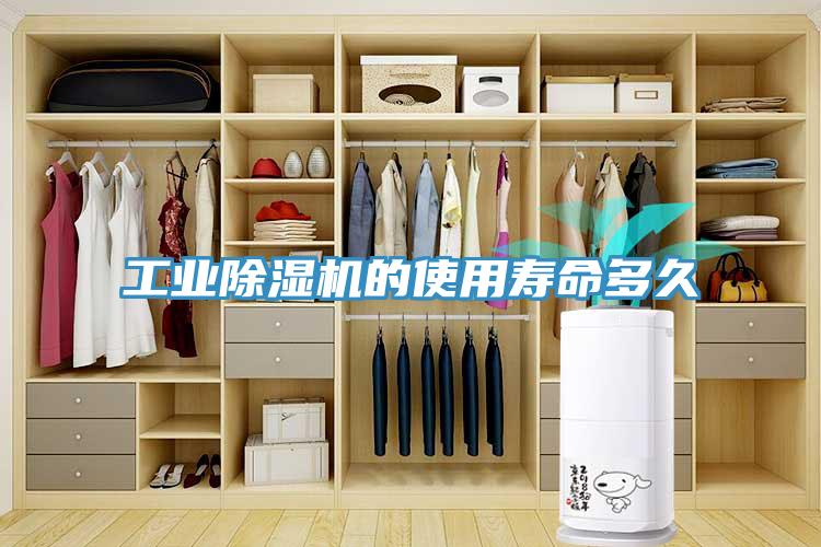 工業(yè)除濕機(jī)的使用壽命多久