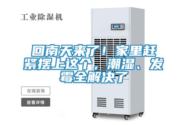 回南天來了！家里趕緊擺上這個，潮濕、發霉全解決了