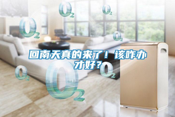 回南天真的來了！該咋辦才好？