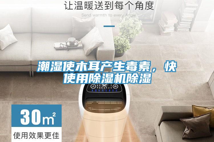 潮濕使木耳產(chǎn)生毒素，快使用除濕機除濕