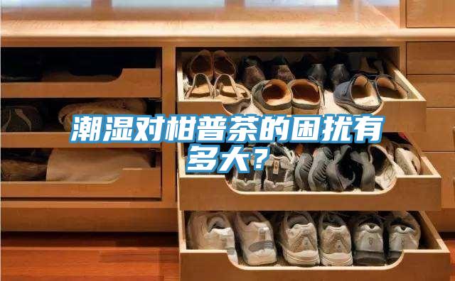 潮濕對柑普茶的困擾有多大？