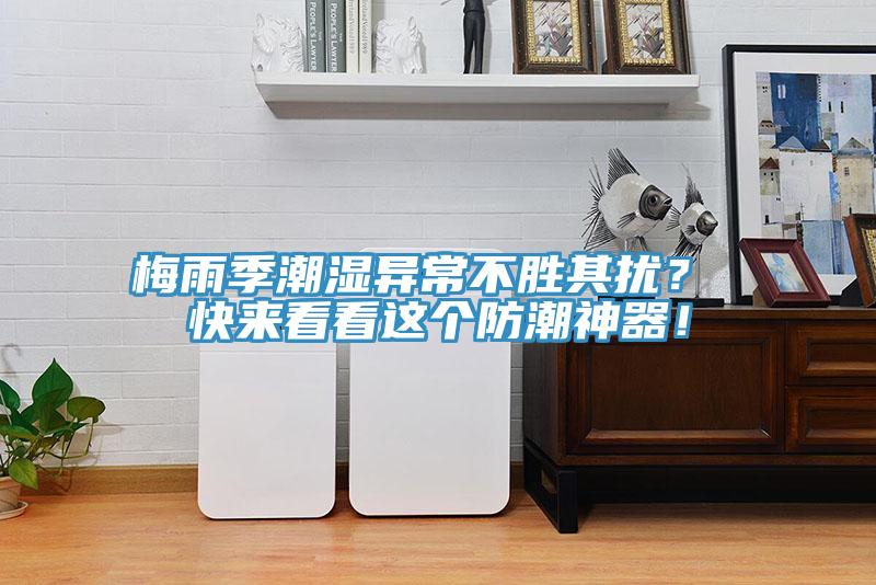 梅雨季潮濕異常不勝其擾？ 快來看看這個(gè)防潮神器！