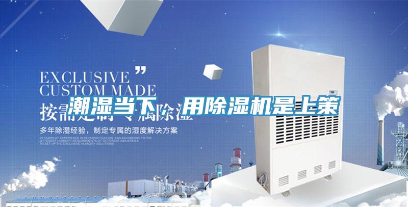 潮濕當(dāng)下,用除濕機(jī)是上策