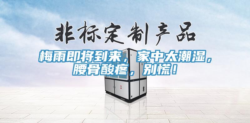 梅雨即將到來，家中太潮濕，腰骨酸疼，別慌！