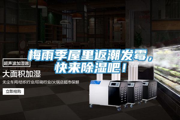 梅雨季屋里返潮發霉，快來除濕吧！