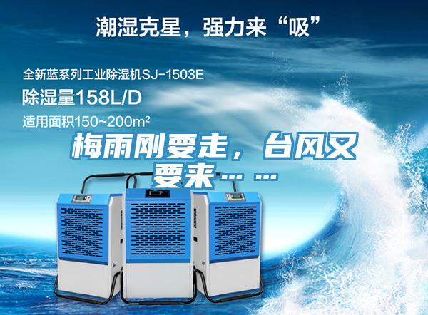 梅雨剛要走，臺風又要來……