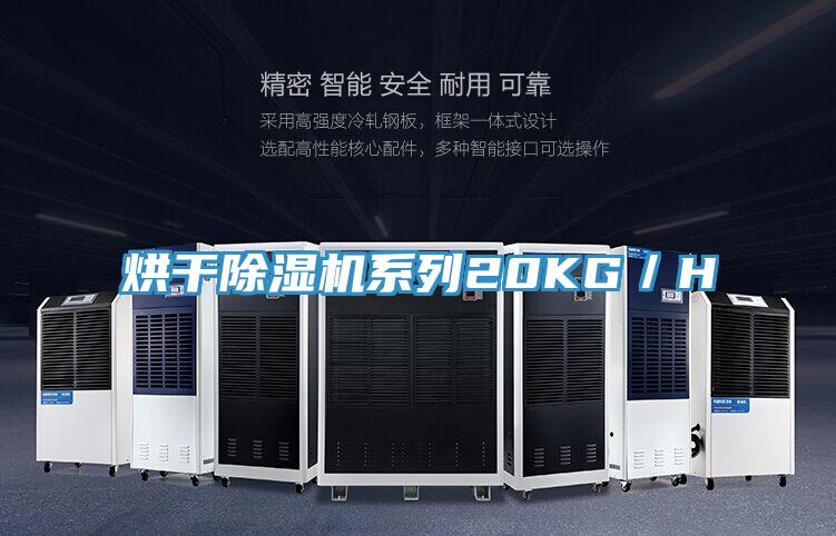 烘干除濕機(jī)系列20KG/H