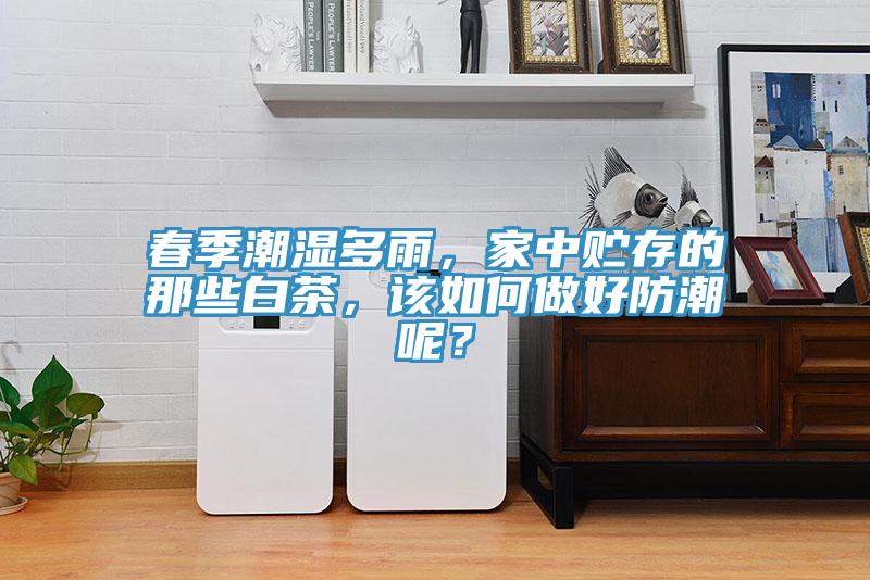 春季潮濕多雨，家中貯存的那些白茶，該如何做好防潮呢？