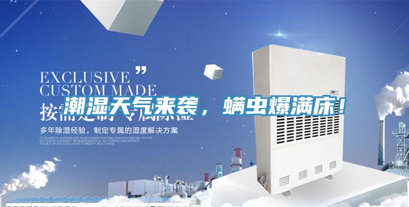 潮濕天氣來襲,螨蟲爆滿床!