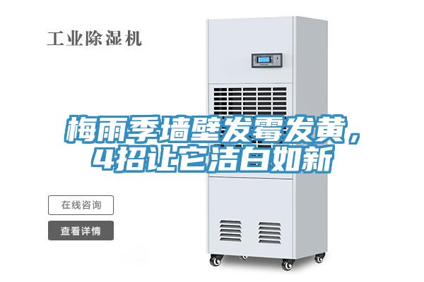 梅雨季墻壁發霉發黃，4招讓它潔白如新