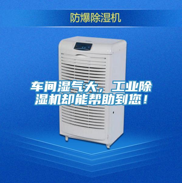 車間濕氣大，工業(yè)除濕機卻能幫助到您！