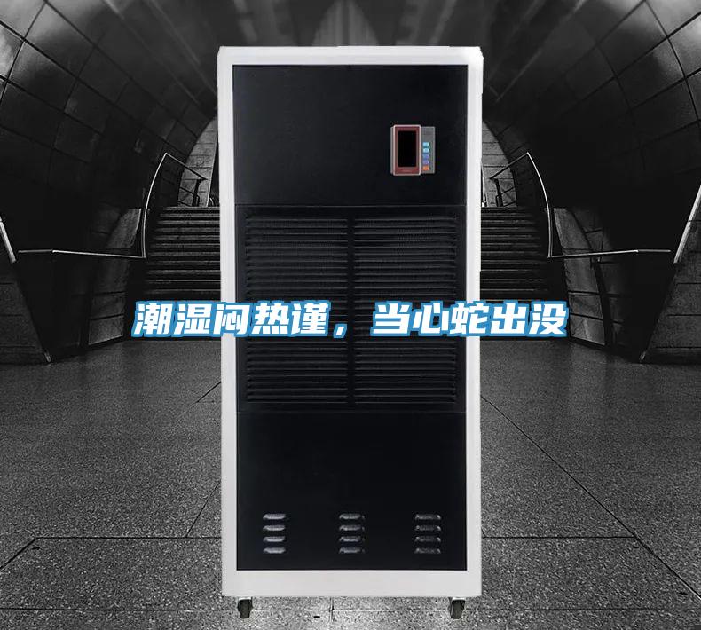 潮濕悶熱謹(jǐn)，當(dāng)心蛇出沒