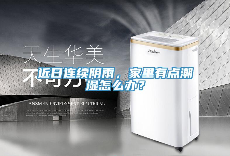 近日連續陰雨，家里有點潮濕怎么辦？