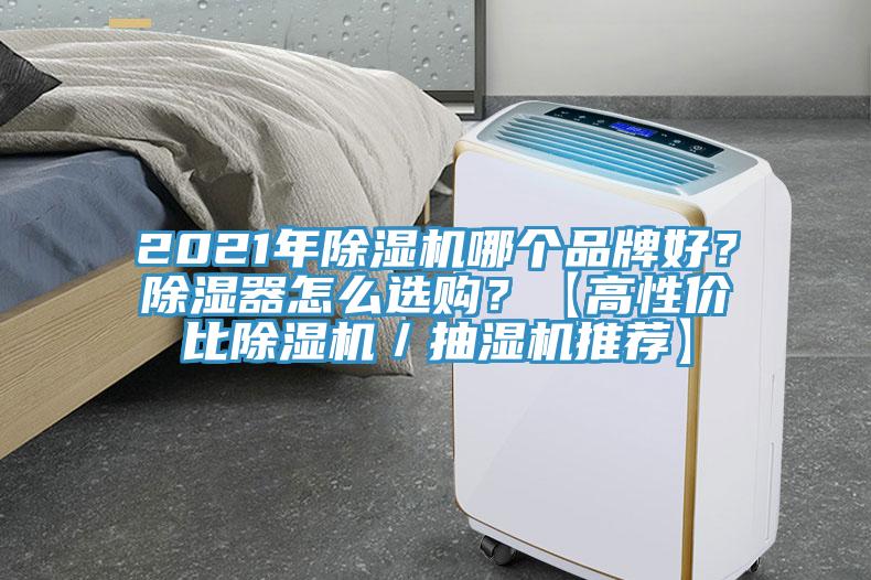 2021年除濕機哪個品牌好？除濕器怎么選購？【高性價比除濕機／抽濕機推薦】
