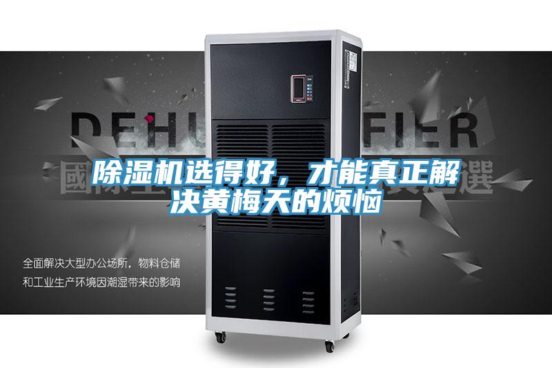 除濕機選得好，才能真正解決黃梅天的煩惱
