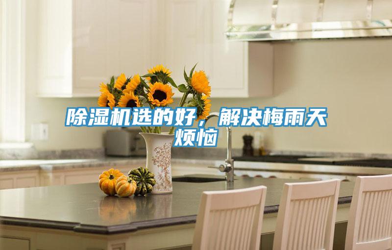 除濕機選的好，解決梅雨天煩惱