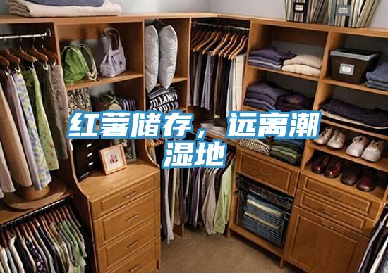 紅薯儲(chǔ)存，遠(yuǎn)離潮濕地