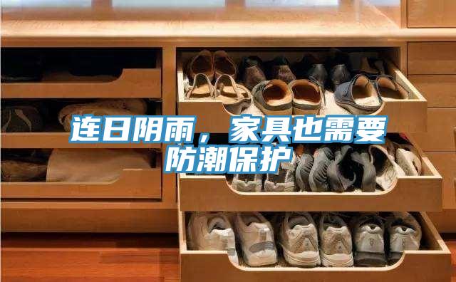 連日陰雨，家具也需要防潮保護