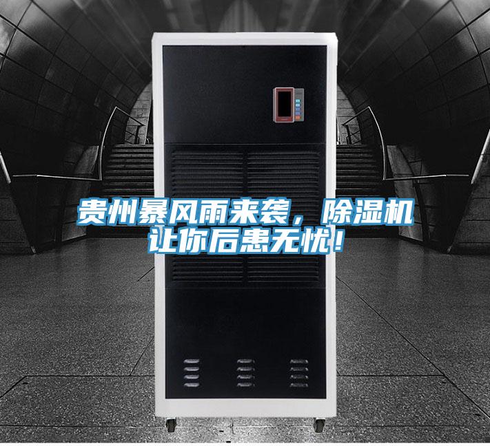 貴州暴風(fēng)雨來襲，除濕機讓你后患無憂！