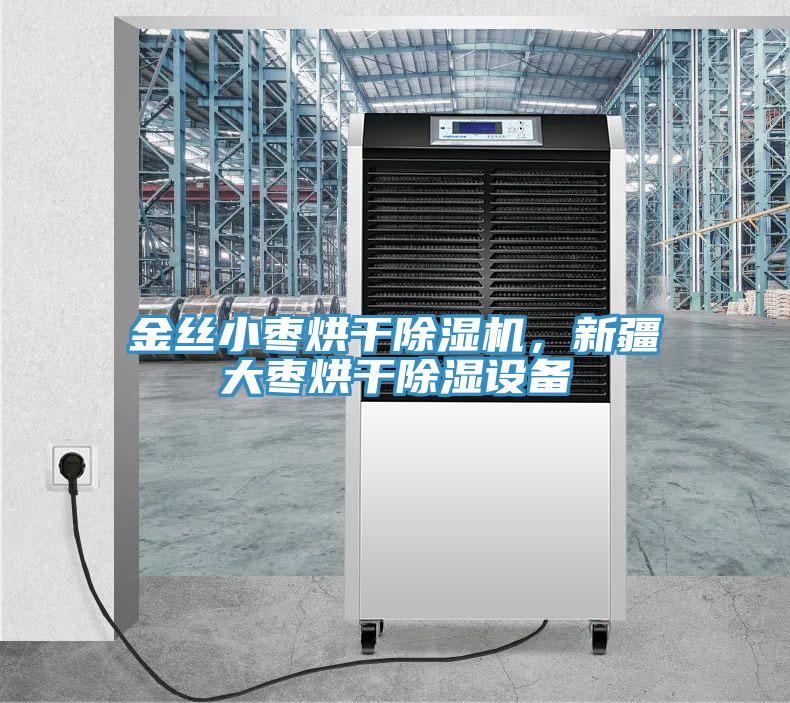 金絲小棗烘干除濕機，新疆大棗烘干除濕設備