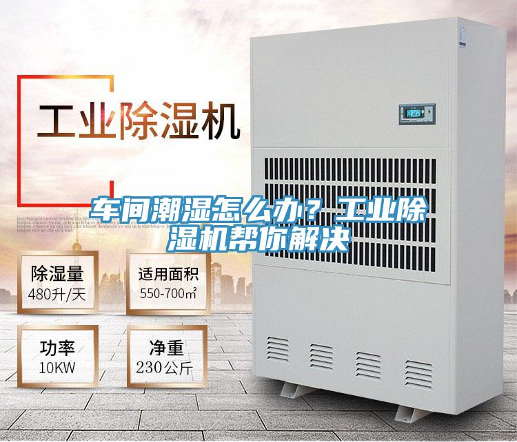 車(chē)間潮濕怎么辦？工業(yè)除濕機(jī)幫你解決