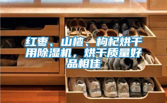 紅棗、山楂、枸杞烘干用除濕機(jī)，烘干質(zhì)量好品相佳