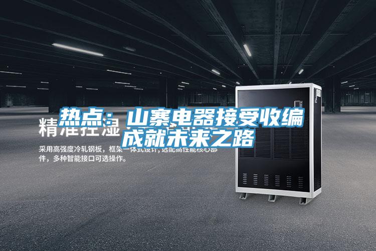 熱點(diǎn)：山寨電器接受收編 成就未來(lái)之路