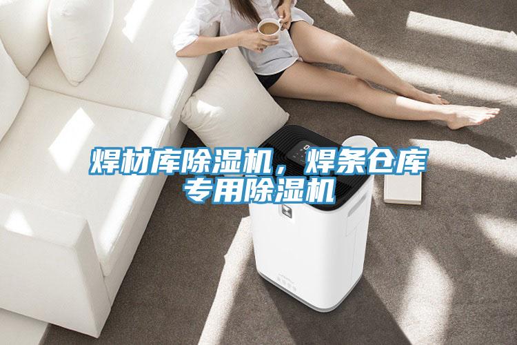 焊材庫除濕機，焊條倉庫專用除濕機