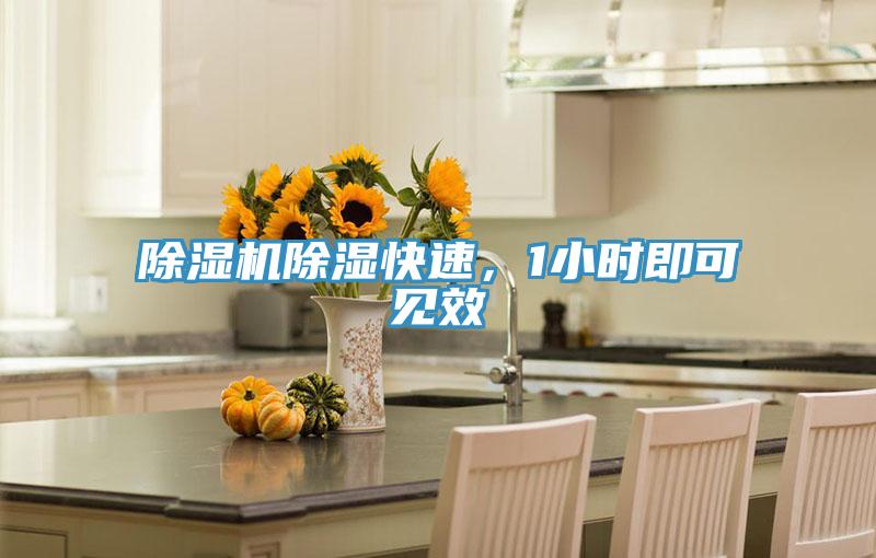 除濕機除濕快速，1小時即可見效