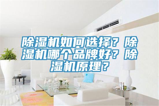 除濕機如何選擇？除濕機哪個品牌好？除濕機原理？