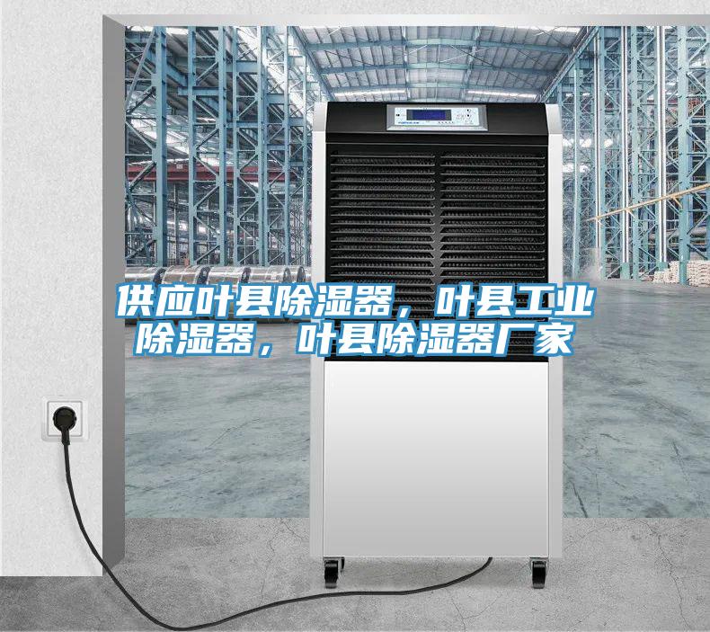 供應(yīng)葉縣除濕器，葉縣工業(yè)除濕器，葉縣除濕器廠家