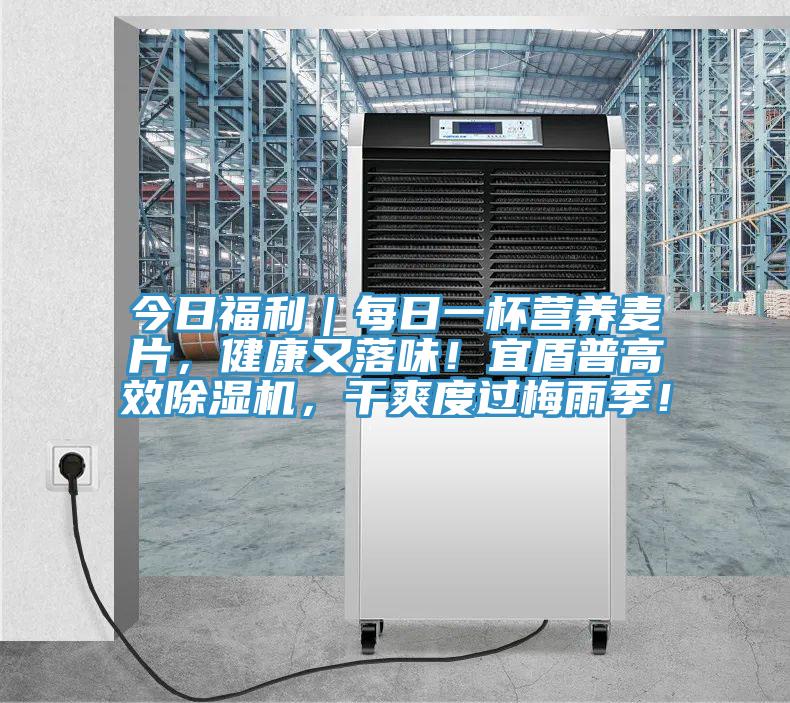 今日福利｜每日一杯營(yíng)養(yǎng)麥片，健康又落味！宜盾普高效除濕機(jī)，干爽度過梅雨季！