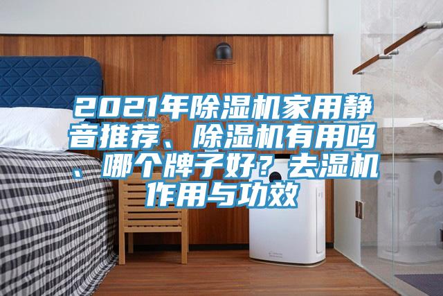 2021年除濕機家用靜音推薦、除濕機有用嗎、哪個牌子好？去濕機作用與功效