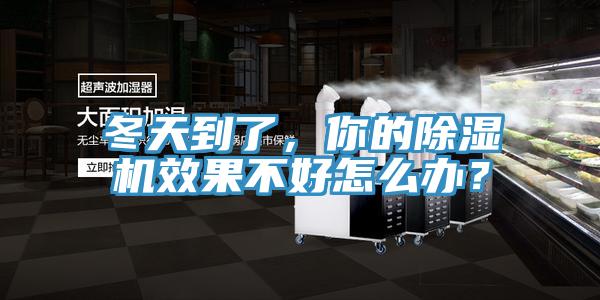 冬天到了，你的除濕機效果不好怎么辦？